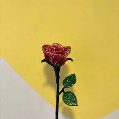 Crea una Rosa Eterna en Chaquiras