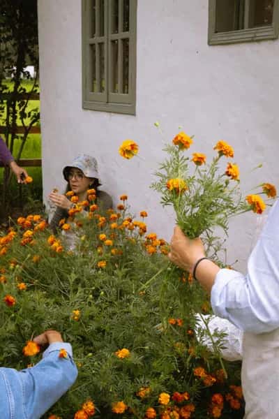 Taller de Tintes Naturales con flores 