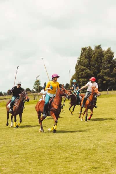 Clase de Polo
