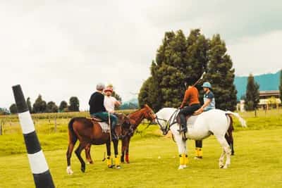 Clase de Polo