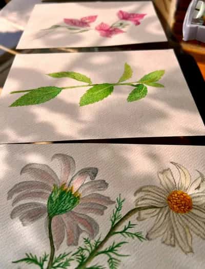 Taller de Ilustración Botánica