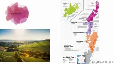 Vino por Partes: Mini Curso Virtual de Vinos
