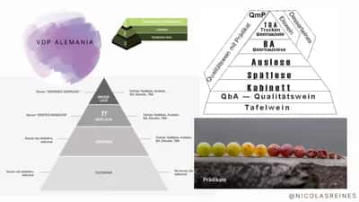 Vino por Partes: Mini Curso Virtual de Vinos