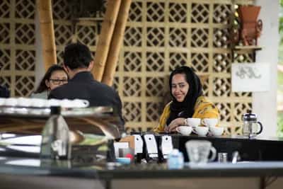 Tour de Café de Especialidad a 2 Horas de Bogotá