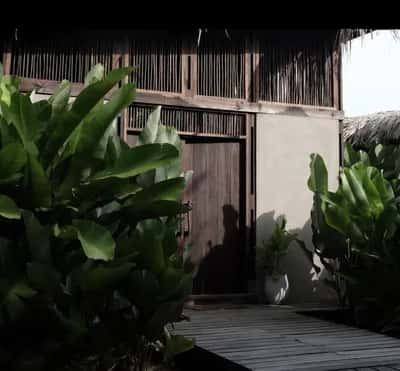 Retiro de yoga en Palomino - Return to your Center- 3 días
