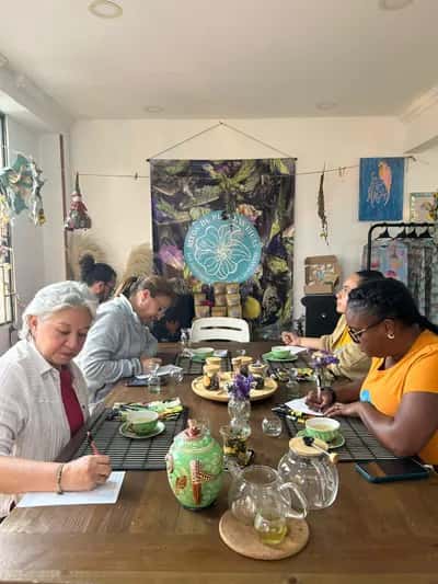 Taller y Cata de Plantas Colombianas Para Tu Bienestar