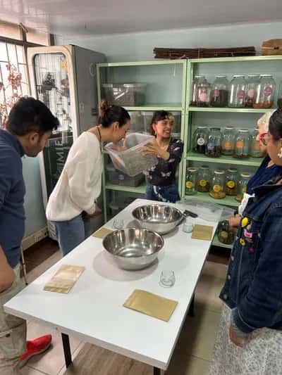 Taller y Cata de Plantas Colombianas Para Tu Bienestar