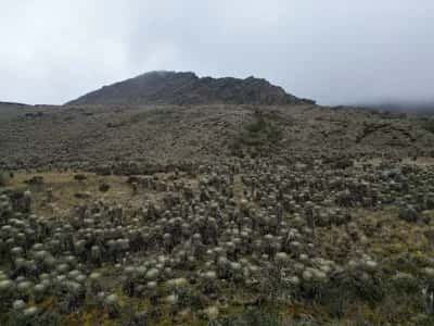 Senderismo al Páramo de Sumapaz con Guías Locales