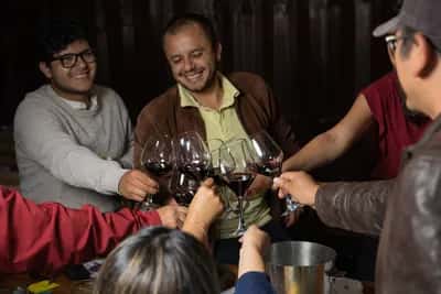 Experiencia Sensorial y Cata de Inmersión