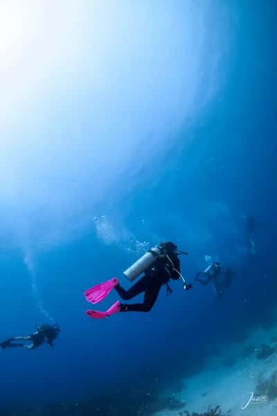 Certificación Open Water Diver en Cartagena