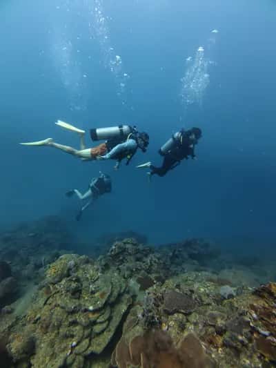 Certificación Open Water Diver en Cartagena