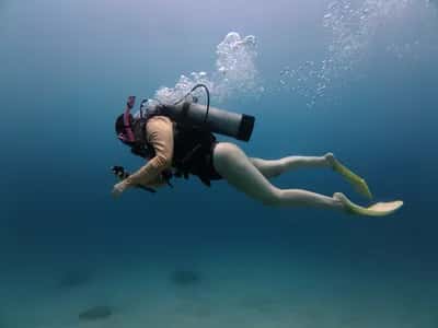 Explora Naufragios en Cartagena - Buzos Certificados