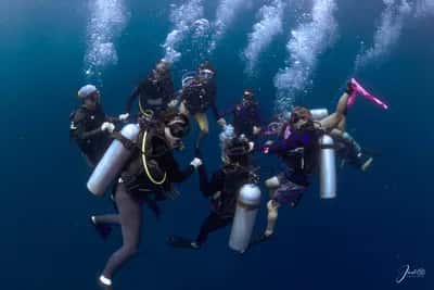 Viaje a Isla Fuerte: Certificación de Buceo, Yoga & Champeta