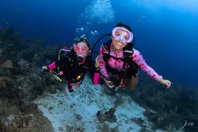 Viaje a Isla Fuerte: Certificación de Buceo, Yoga & Champeta