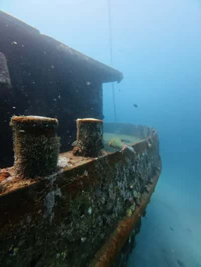 Certificación Advance Open Water Diver en Cartagena