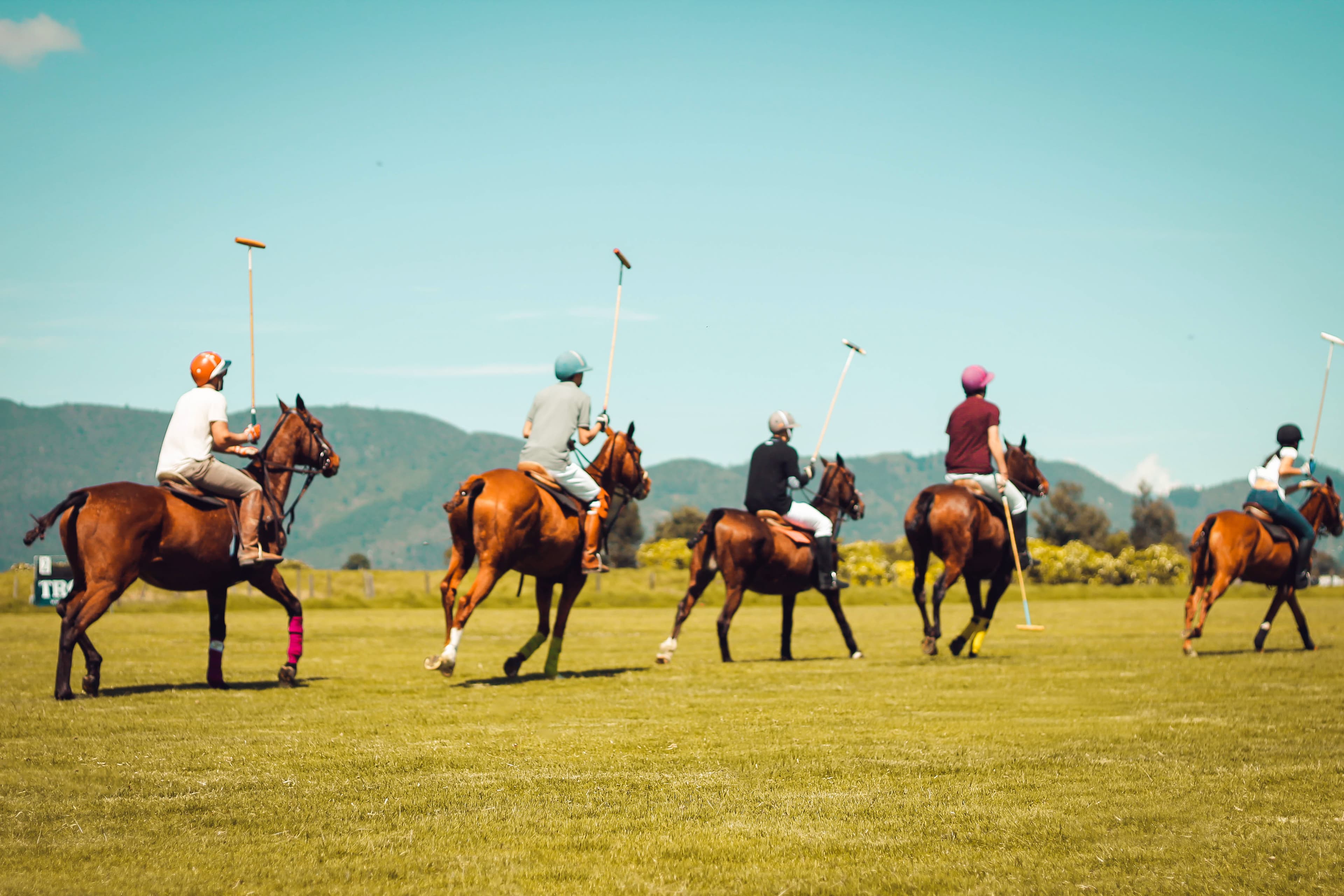 Clase de Polo