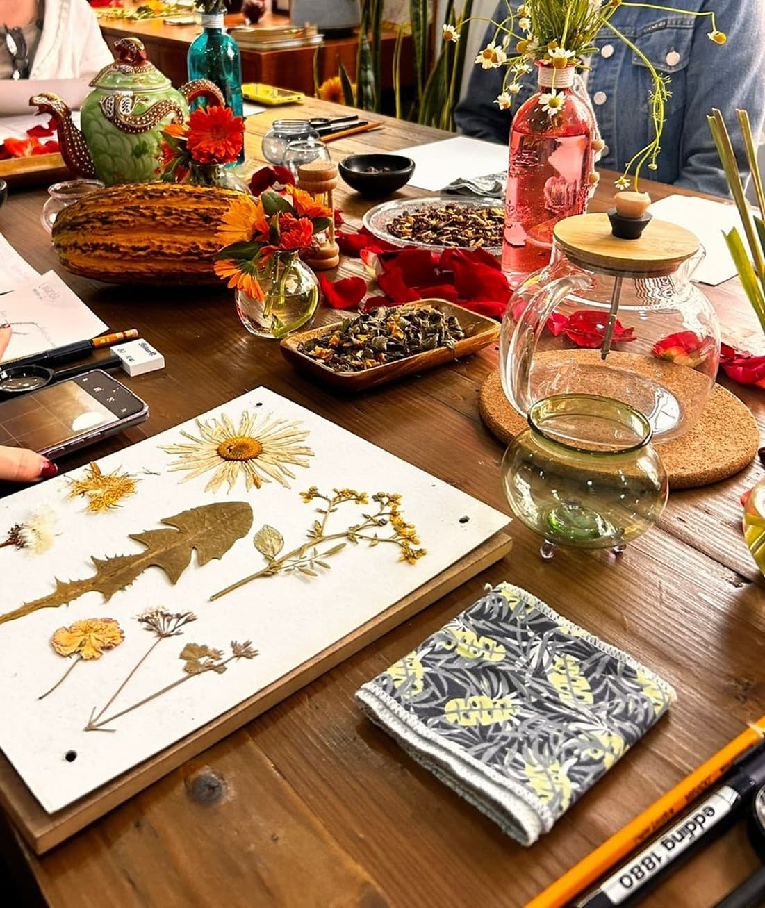 Taller de Ilustración Botánica
