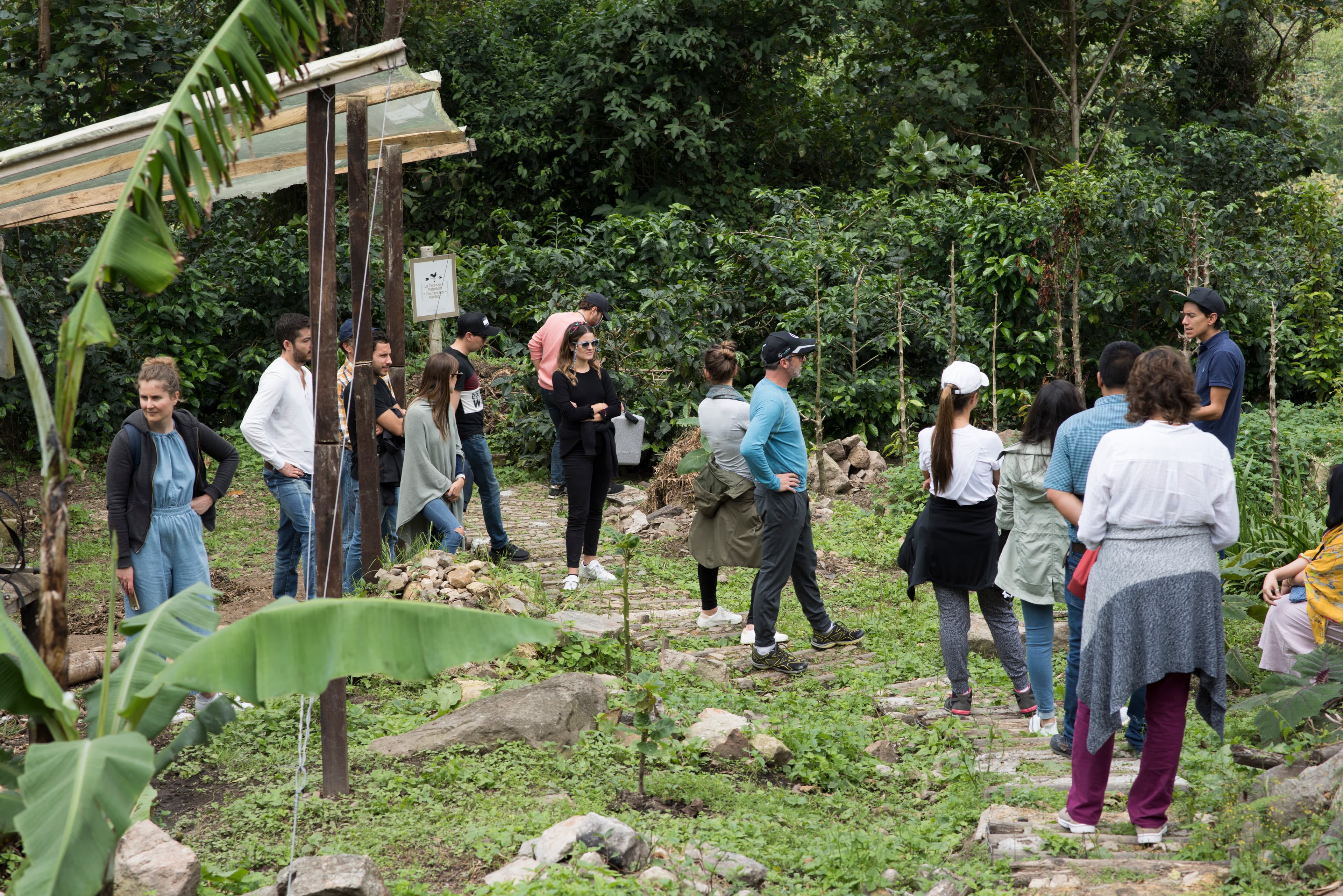 Tour de Café de Especialidad a 2 Horas de Bogotá