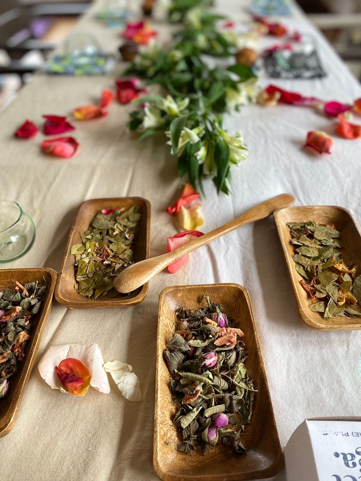 Taller y Cata de Plantas Colombianas Para Tu Bienestar