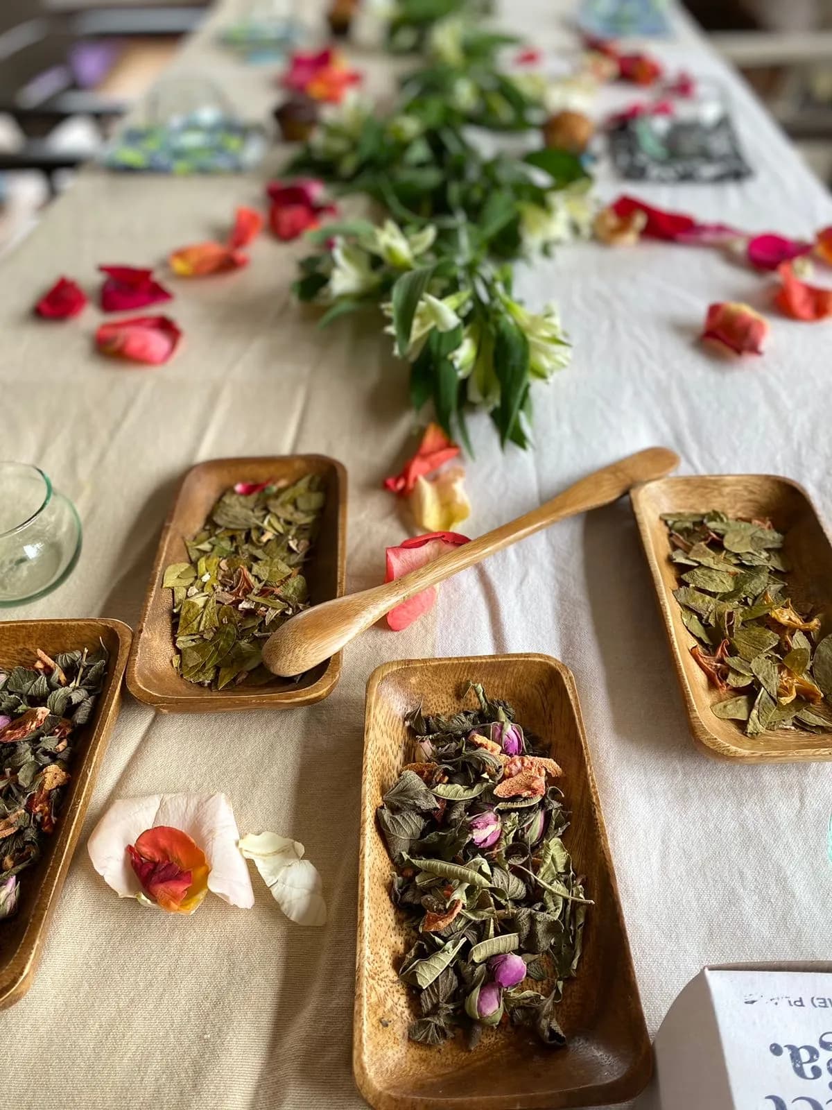 Taller y Cata de Plantas Colombianas Para Tu Bienestar