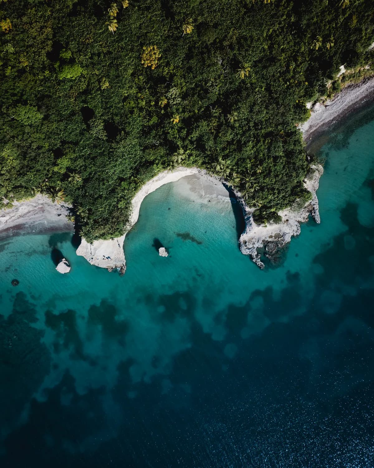 Viaje a Providencia: Certificación de Buceo, Yoga y Cultura