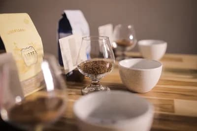 Cata de Café: 3 Cafés, 1 Método de Preparación