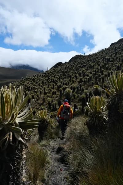 Senderismo al Páramo de Sumapaz con Guías Locales