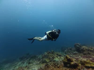 Tu Primera Vez Bajo El Agua - Bucea Sin Experiencia Previa
