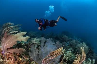 Viaje a Isla Fuerte: Certificación de Buceo, Yoga & Champeta