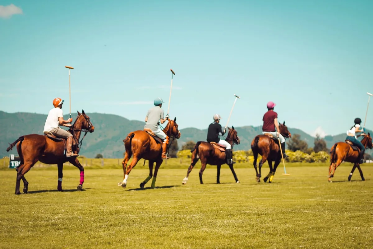 Clase de Polo