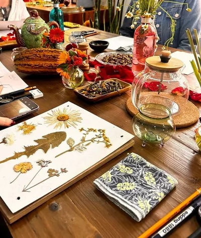 Taller de Ilustración Botánica