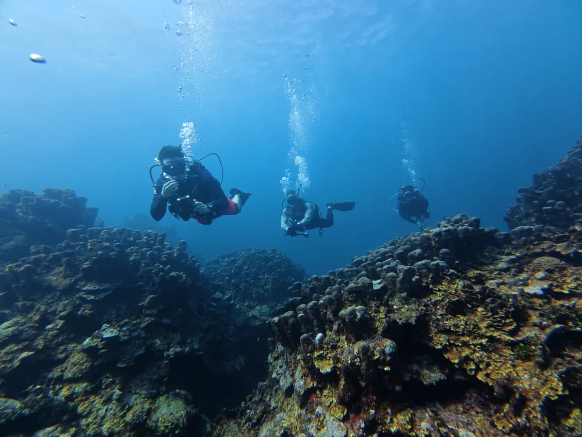Certificación Advance Open Water Diver en Cartagena